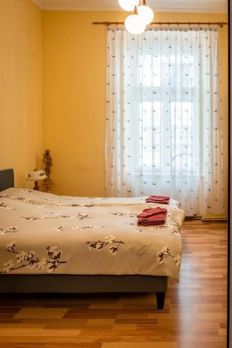 Апартаменти Casa Max Тімішоара Екстер'єр фото