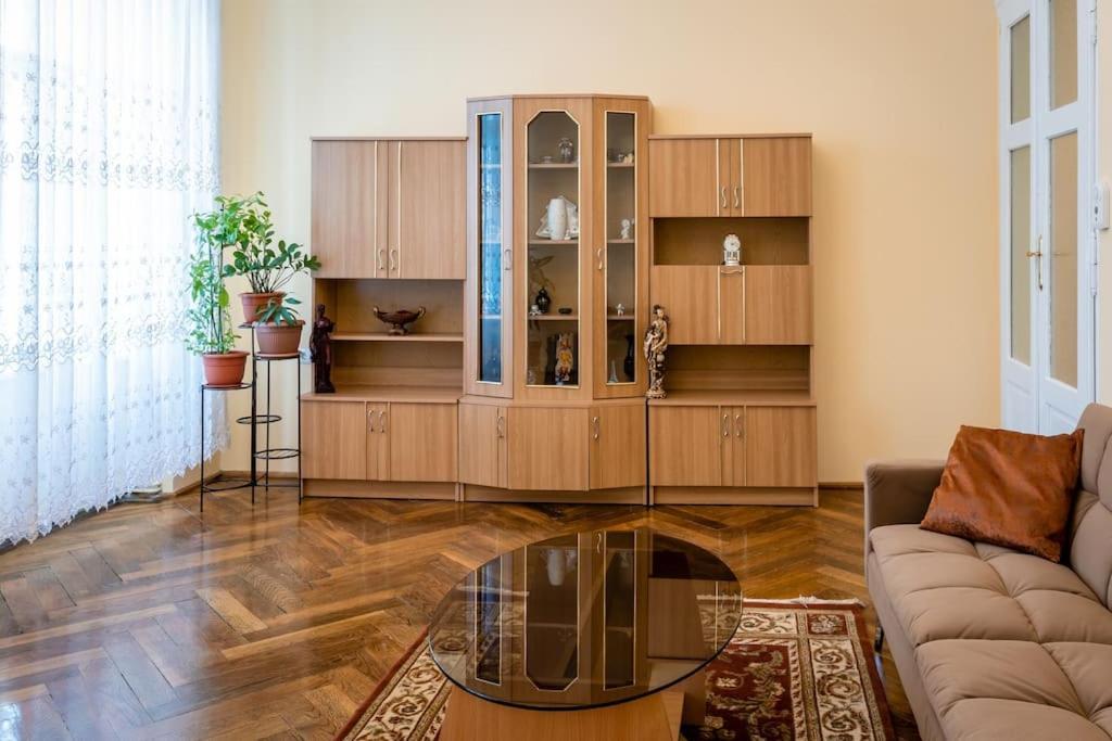 Апартаменти Casa Max Тімішоара Екстер'єр фото