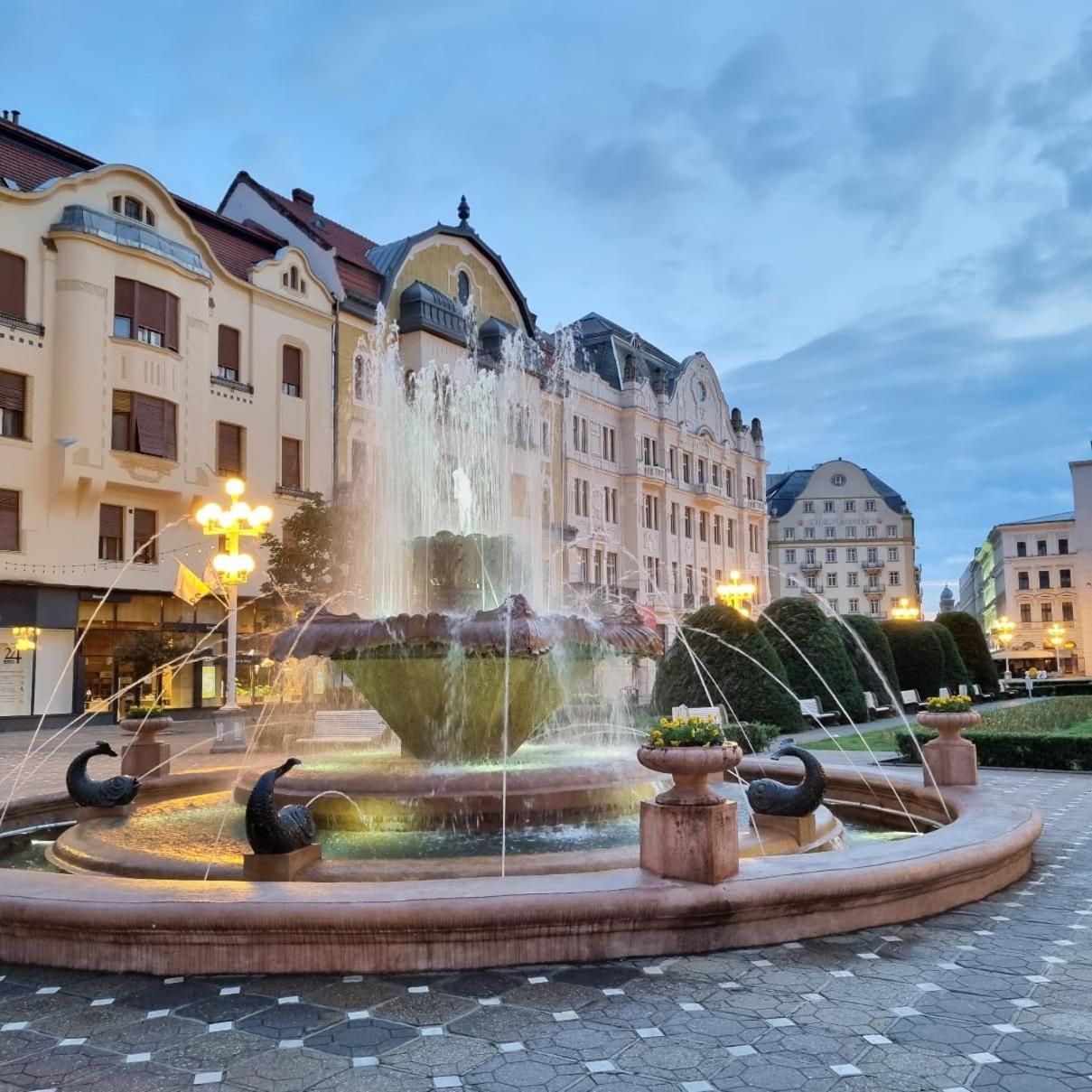 Апартаменти Casa Max Тімішоара Екстер'єр фото